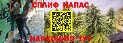 скорость Пугачёв