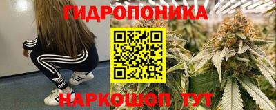 скорость Пугачёв