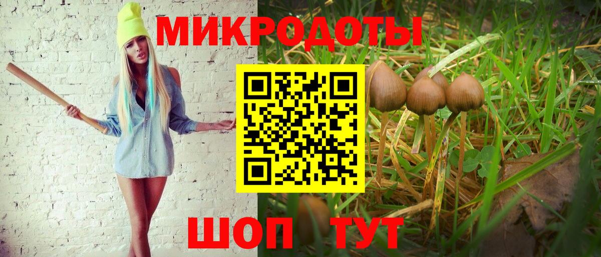 Галлюциногенные грибы мухоморы Саянск
